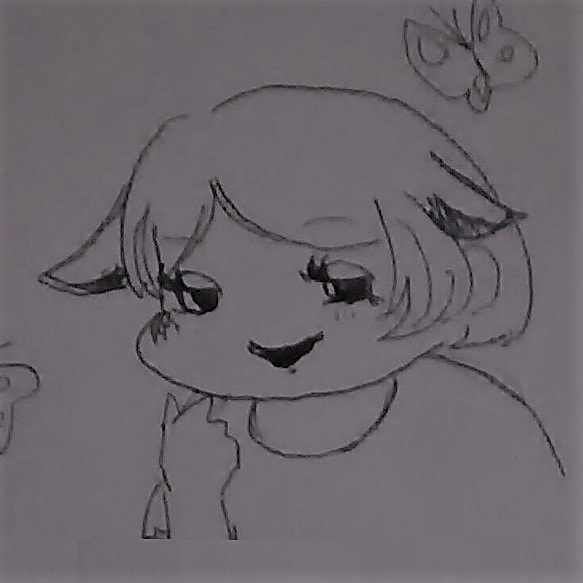 セラピー実践後のKojun