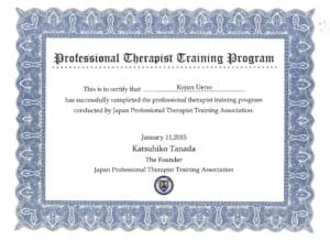 Professional Therapist Training Program diploma